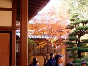 こぼらさんの明寿院(金剛輪寺本坊)の投稿写真1