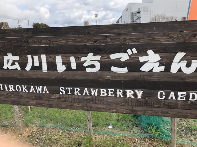 看板_広川いちご園