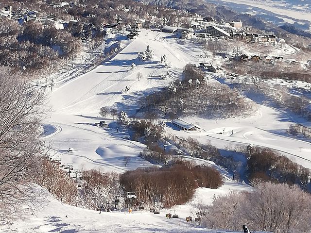 上部は非圧雪斜面が豊富だ_斑尾高原スキー場