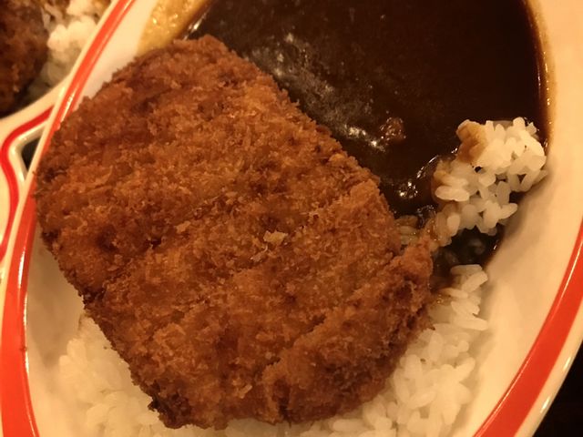 大きめのカツがどどーんとのっています_ハングリーベア・レストラン