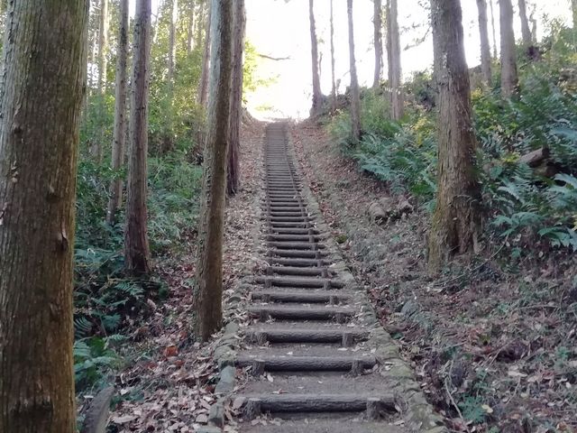 のほほん気分さんの御嶽の鏡岩の投稿写真2