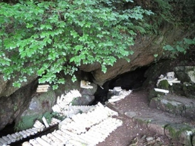 キヨさんの蛇穴の投稿写真2