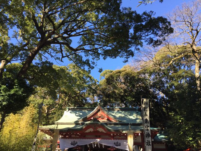 来宮神社直営_来宮神社 直営お休み処 宮前店