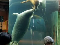 旭山動物園の写真1