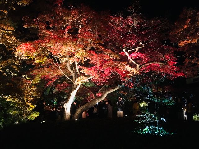D_宝厳院 飯田