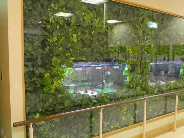 大阪府・箕面市・箕面公園・昆虫館 展示室_箕面公園昆虫館