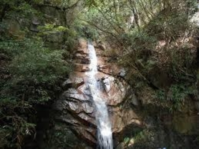 ゆうたさんの高座の滝の投稿写真1