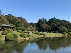新宿御苑の写真1