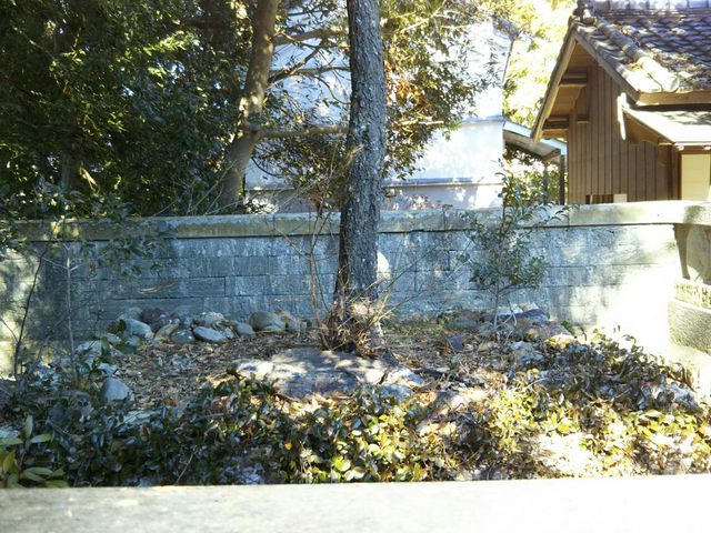 家康が植えた梅の木_重要文化財中村家住宅