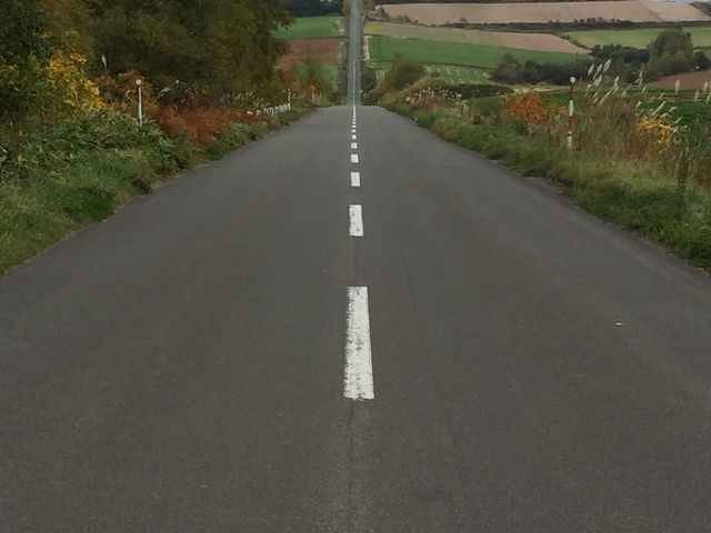 スキー場?_ジェットコースターの路