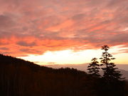 ニニギさんの十勝岳温泉 カミホロ荘の投稿写真2