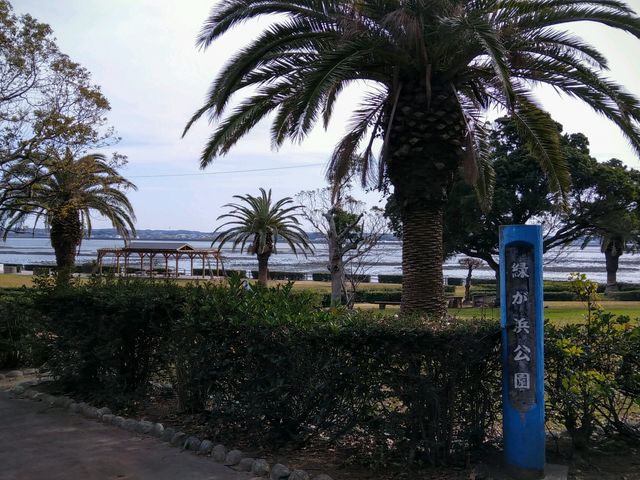 緑が浜公園_緑が浜公園