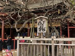 太宰府天満宮の写真1