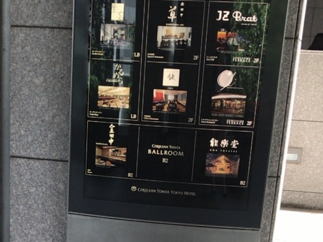 セルリアン内_クーカーニョ