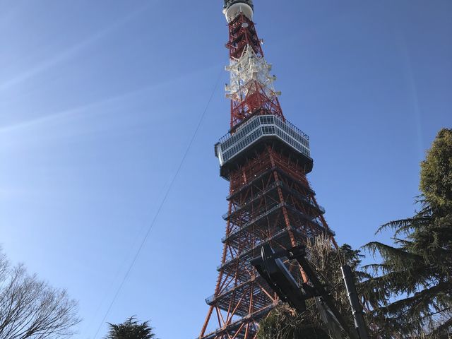 東京タワー_株式会社はとバス定期観光部