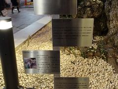 トロムソさんのGinza Sony Parkへの投稿写真1