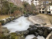 チャムンパスさんの熱海ゆけむり緑地の投稿写真4