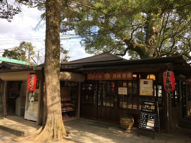 月見茶屋_月見茶屋