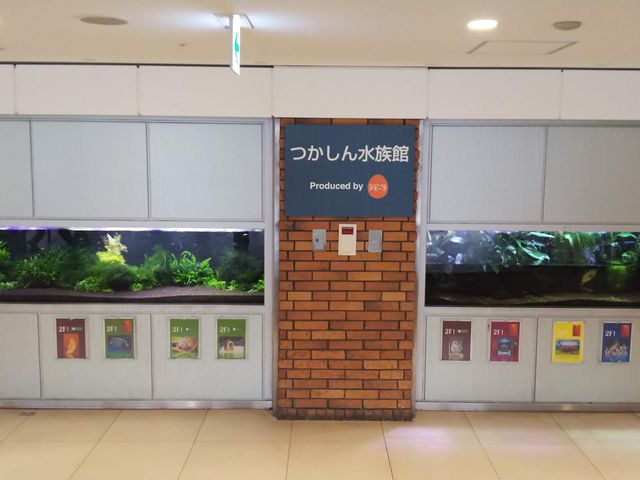 水族館_グンゼタウンセンターつかしん