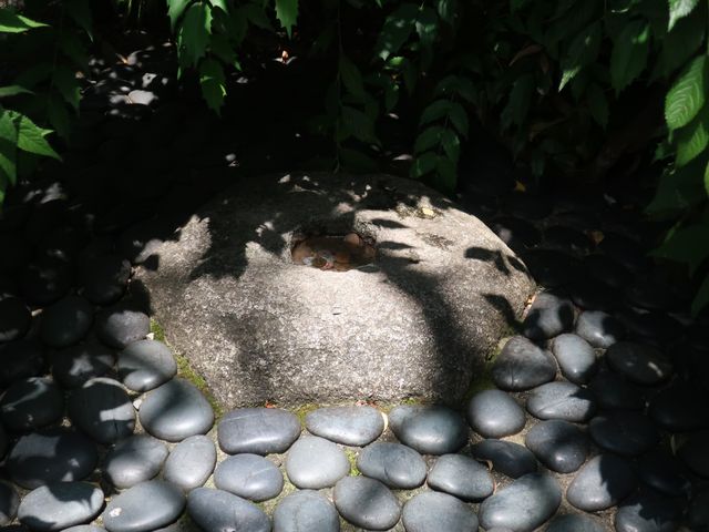 境内の一角にあるへそ石_六角堂へそ石
