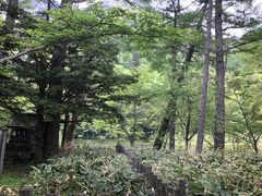 カトQさんの明神池への投稿写真1