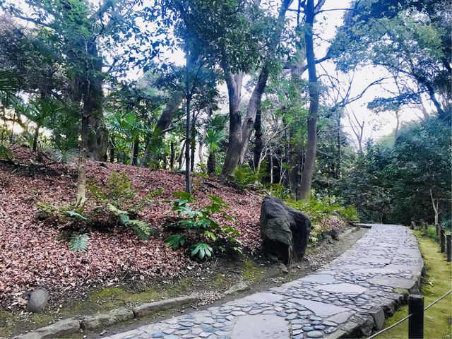 【木曽山(小石川後楽園)】園路の左側が木曽山_木曽山(小石川後楽園)
