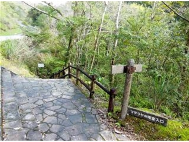 甘辛熊さんの奄美フォレストポリスの投稿写真6