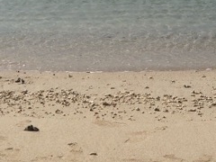 うみさんの長間浜への投稿写真1