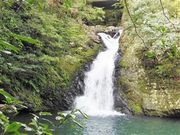 甘辛熊さんの奄美フォレストポリスの投稿写真3