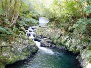 甘辛熊さんの奄美フォレストポリスの投稿写真4