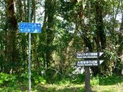 甘辛熊さんの奄美フォレストポリスの投稿写真5