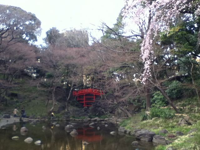 大堰川_大堰川(小石川後楽園)