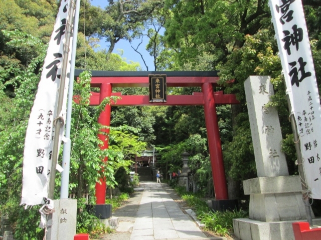 来宮神社_来宮神社(静岡県伊豆市)