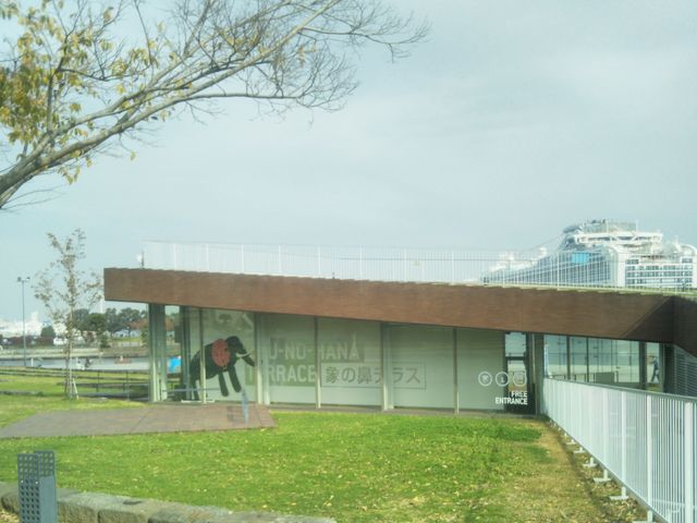 『象の鼻カフェ』。_象の鼻カフェ