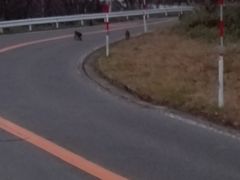白根山の写真1