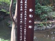 まいさんの寝覚の滝(小石川後楽園)の投稿写真1