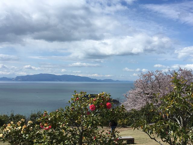 春には桜と椿が咲き揃い、遠く万葉の時代に思いを馳せつつ、明石海峡大橋、淡路島、小豆島など絶景楽しめる_万葉の岬
