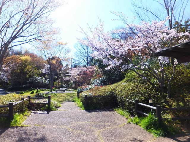 PAとは思えない休憩スペース。桜がきれいでした。_中国自動車道(下り)赤松パーキングエリア