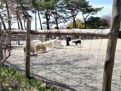 mon-tさんの那須高原南ヶ丘牧場への投稿写真3