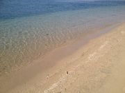 RastaWomanさんのときめきビーチ【淡輪海水浴場】の投稿写真1