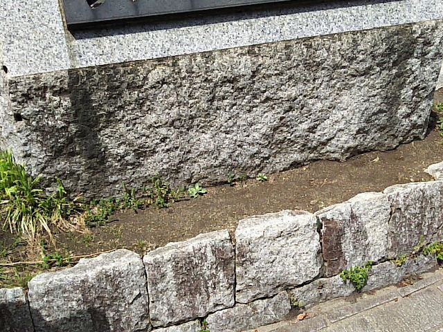 入口付近_天王公園