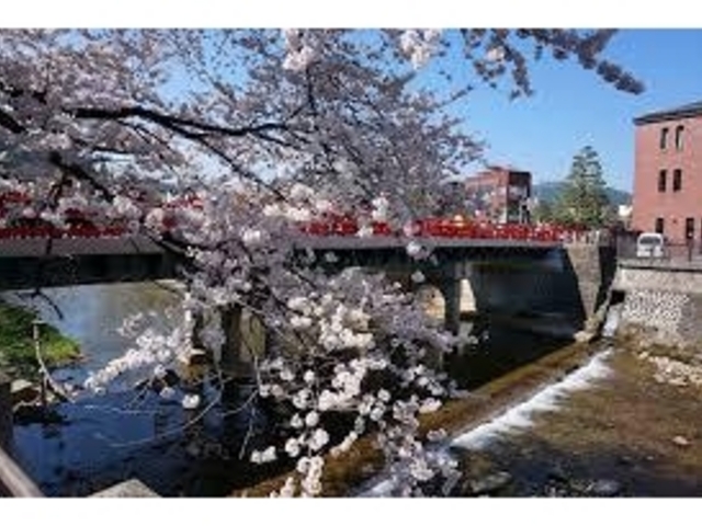 桜の時期がおすすめです!_中橋