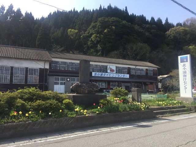 旧学校校舎がダイビング施設で雰囲気グッド!コブダイなどの写真も飾られていて休憩時間も楽しめました。_ダイビング&ネイチャーツアーF.WAVE
