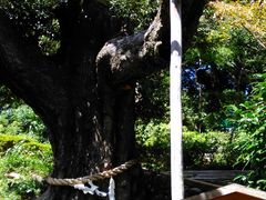 椿山荘 庭園の写真1