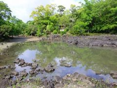 カワさんの三島市立公園 楽寿園への投稿写真1