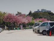 カワさんの南相馬市馬事公苑の投稿写真1