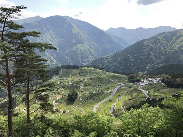 なかなかハードな山道なので、ちゃんとした格好で行く事をおすすめします。_春日上ヶ流 天空の遊歩道
