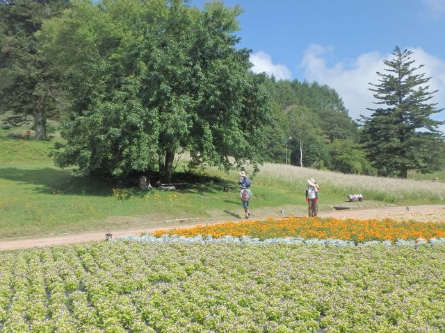 登山者も多いですよ。_富士見台高原(長野県阿智村)