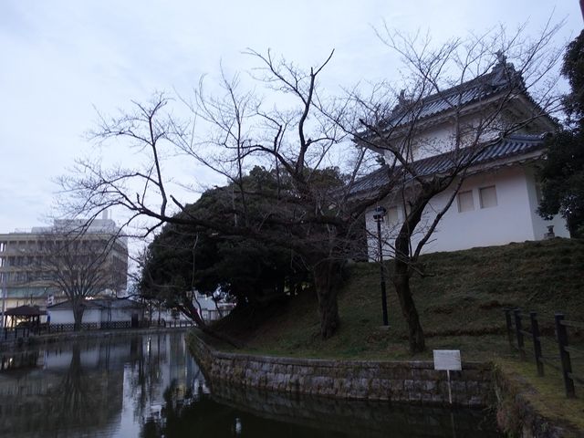 迫力があります_土浦城跡