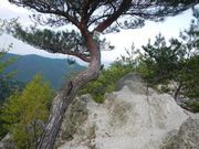 JOEさんの砂山の投稿写真1